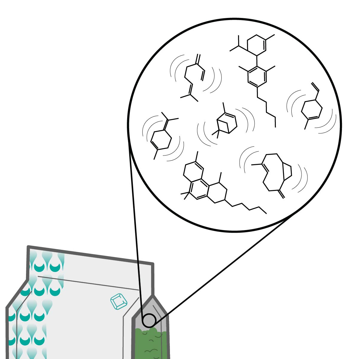 Diagram showing a Calyx Cure curing bag with a molecular structure illustration.