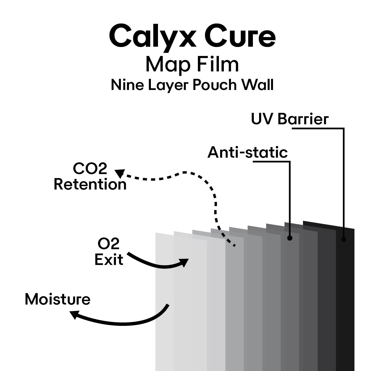 Diagram of Calyx Cure Map Film with labeled layers on a white background