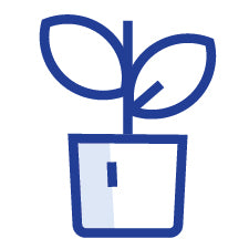 Blue icon of a plant in a pot on a white background
