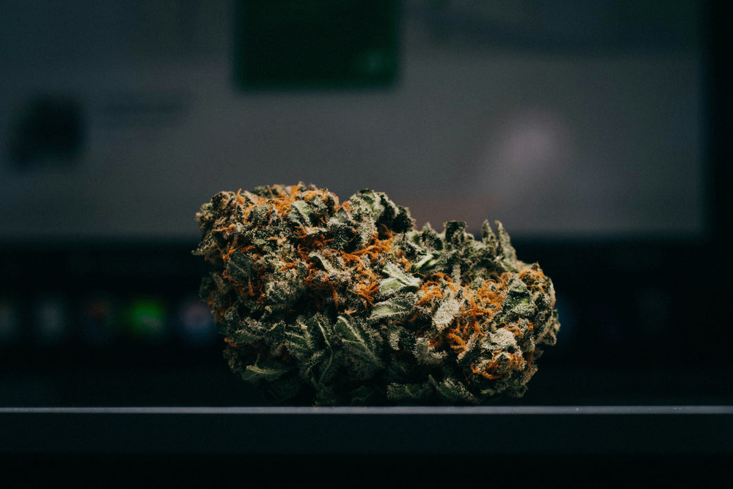 What are Weed Trimming Machines?