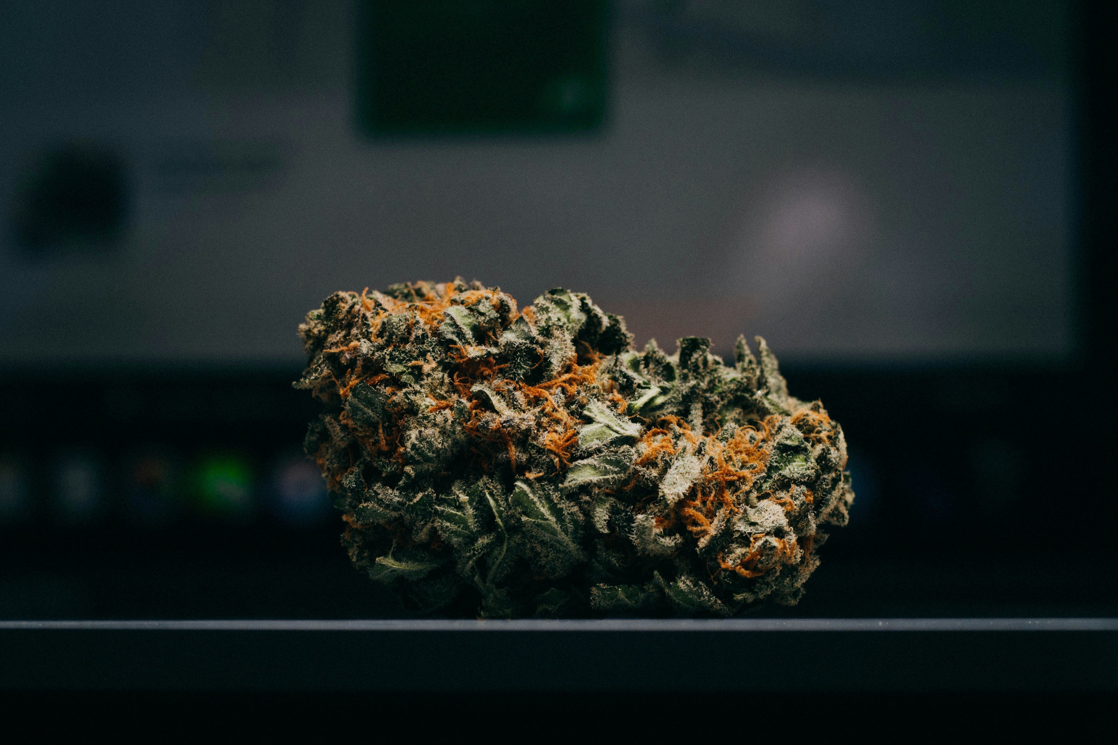 What are Weed Trimming Machines?