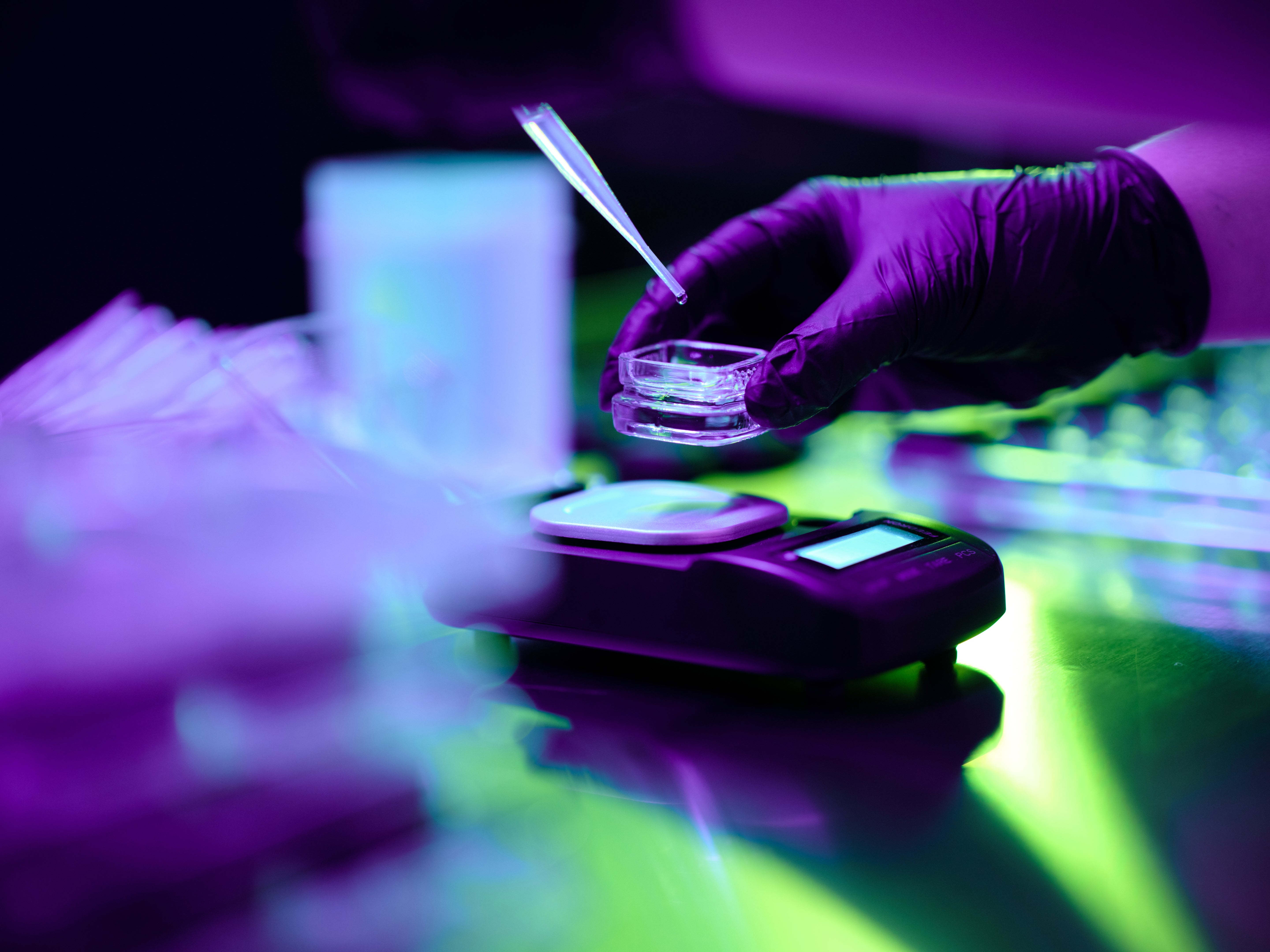 Person in a lab setting with gloves holding a cannabis concentrate container over a digital scale.