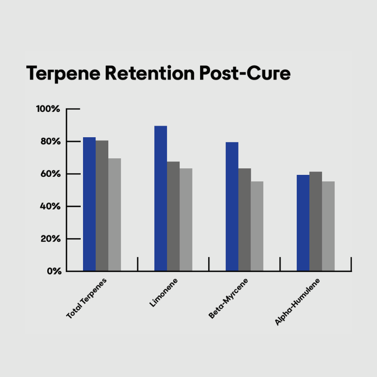Calyx Terpene data