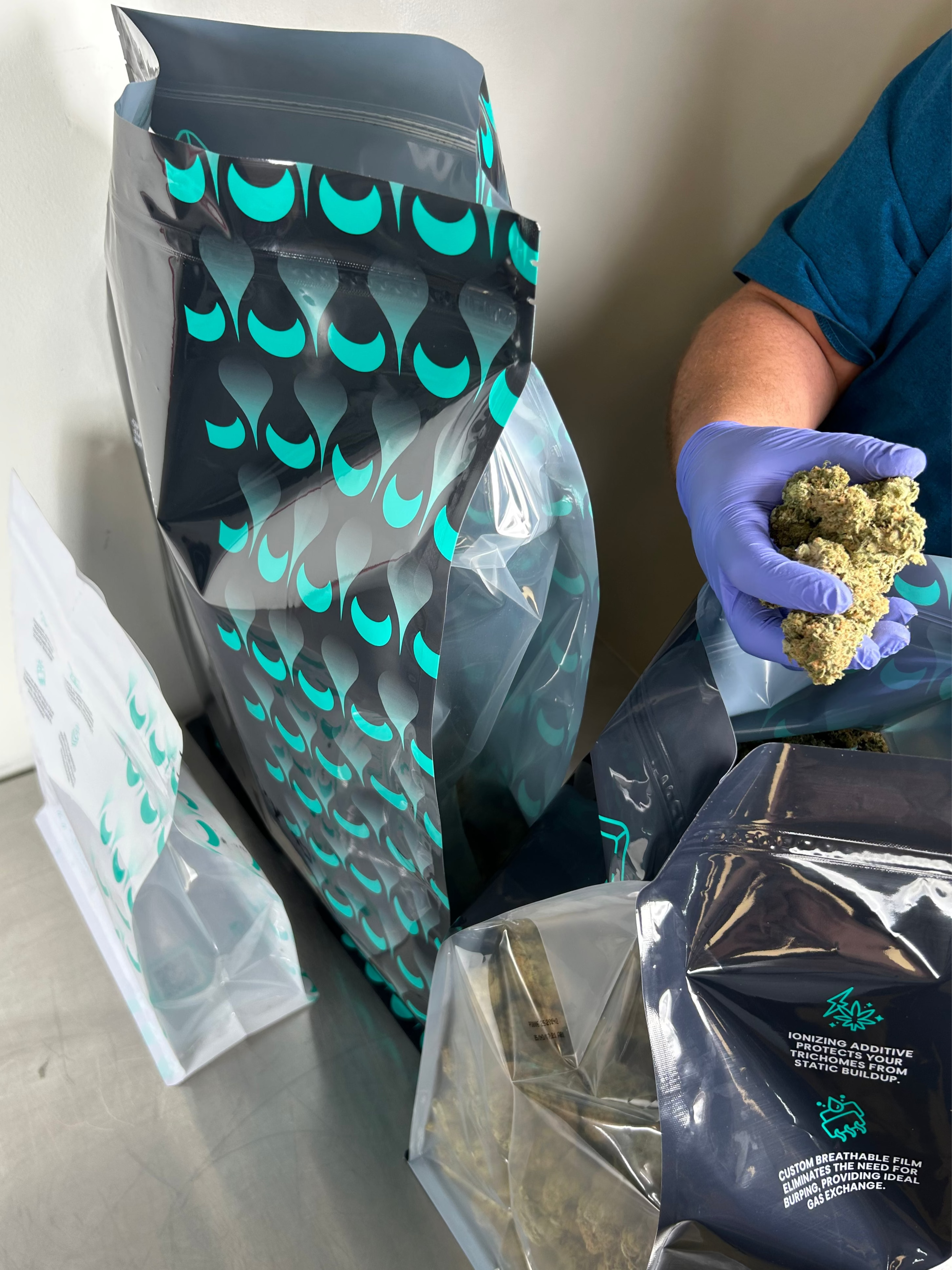 Calyx Cure cannabis curing bags being filled with cannabis buds.