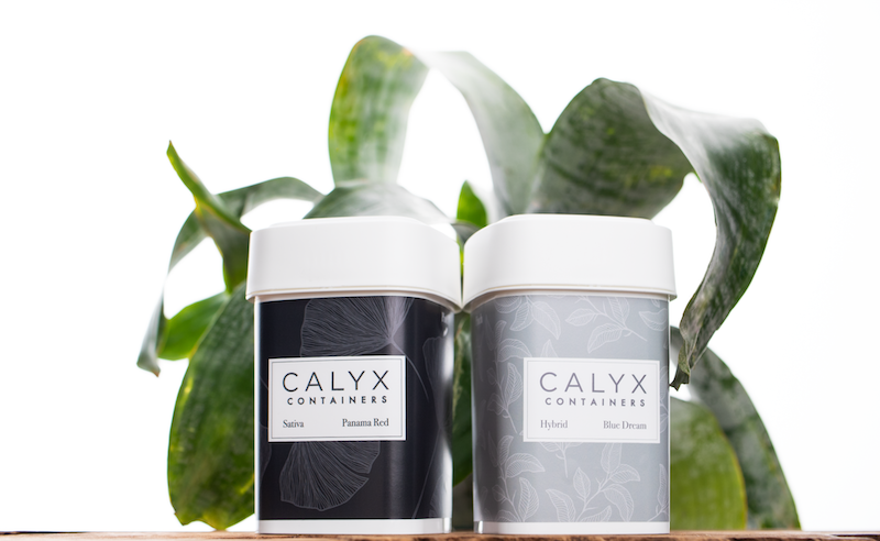 Calyx Flower Containers with custom packaging in front of plants