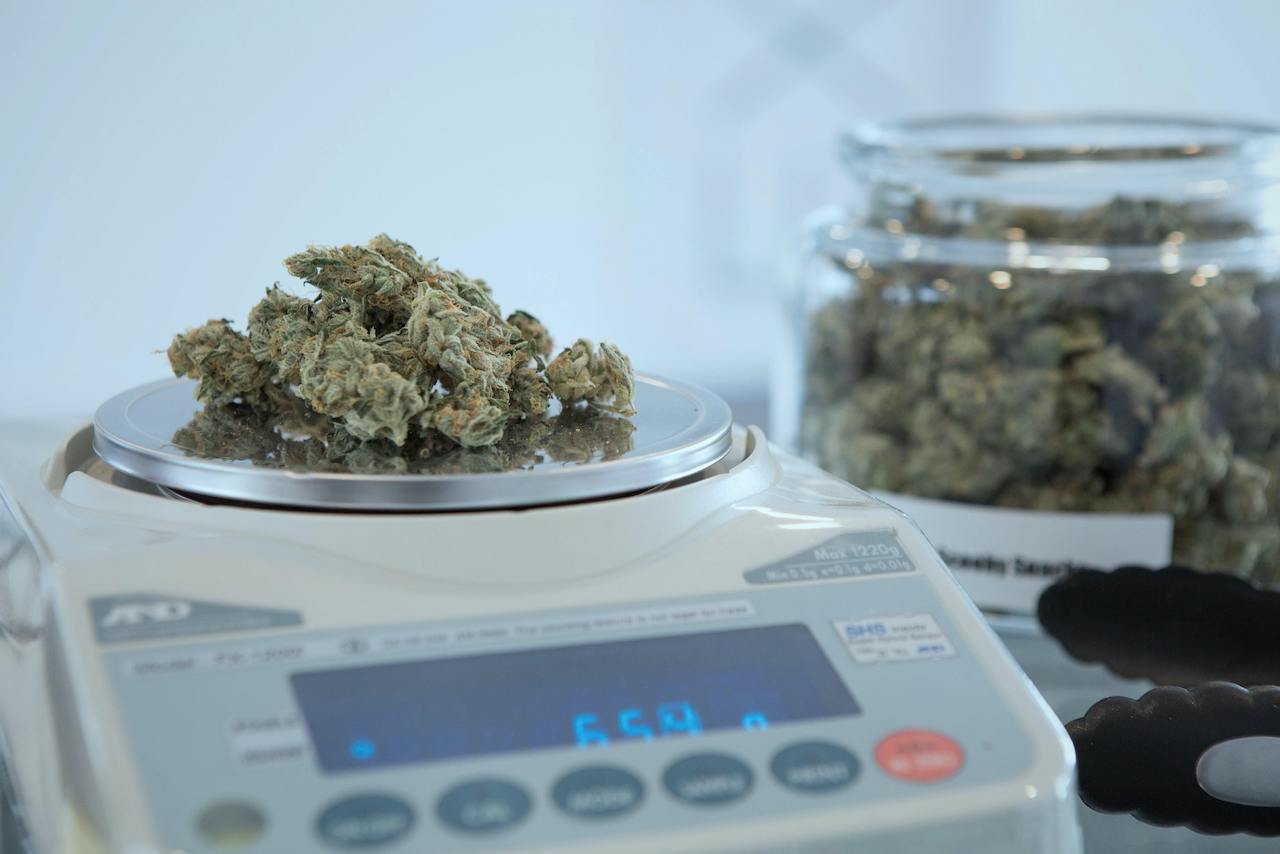 How To Choose A Gram Or Milligram Scale - Zamnesia Blog