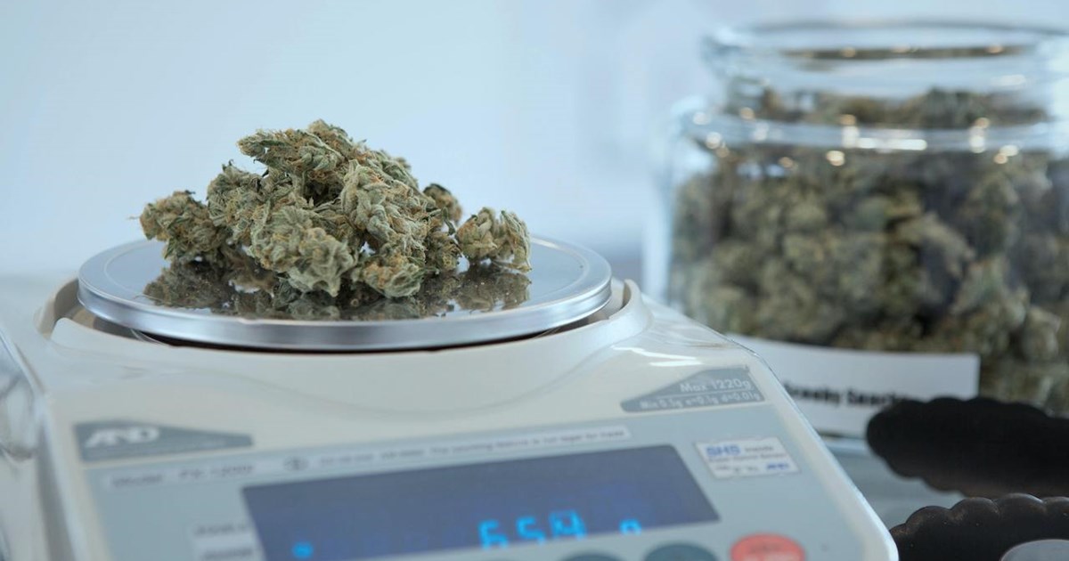 Weed Measurement Guide: Get a Visual of Common Weights